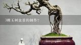 3棵玉树盆景的制作？玉树盆景可以露天放养吗？