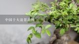 中国十大盆景品种,中国十大盆景品种有哪些？