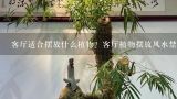 客厅适合摆放什么植物？客厅植物摆放风水禁忌,客厅适合摆放哪些风水植物