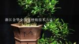 浙江金华金线莲种植技术方法？盆栽金线莲种植技术方法？