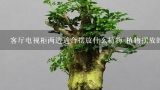 客厅电视柜两边适合摆放什么植物 植物摆放的位置怎么样,客厅适合摆放什么植物 客厅植物摆放风水学