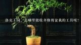 洛克王国。去哪里能收齐修剪盆栽的工具呢？仙人掌有洞盆栽修剪怎么修？