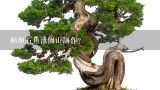 鹅卵石鱼池假山制作？鱼缸瀑布假山制作教程