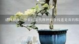 请问湖南长沙农科院代理种植金线莲是真的假的？说是可以回收的,金线莲怎样种植回收可靠吗