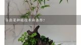 芽苗菜种植技术和条件？芽苗菜种植技术哪里学