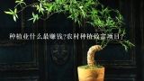 种植业什么最赚钱?农村种植致富项目？药材种植业致富项目