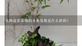 实物盆景市场的未来发展是什么样的？