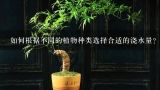 如何根据不同的植物种类选择合适的浇水量?