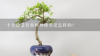 十大盆景名贵树种排名是怎样的？