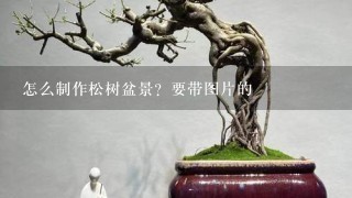 怎么制作松树盆景？要带图片的