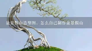 盆景假山造型图，怎么自己制作盆景假山