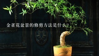 金雀花盆景的修剪方法是什么？