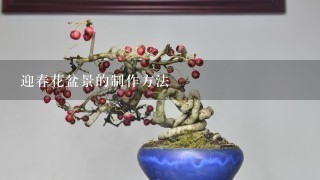 迎春花盆景的制作方法