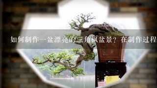 如何制作1盆漂亮的3角枫盆景？在制作过程中，需要