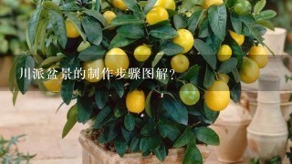 川派盆景的制作步骤图解？