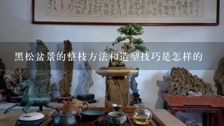 黑松盆景的整枝方法和造型技巧是怎样的