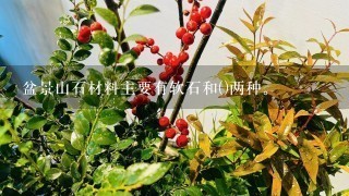 盆景山石材料主要有软石和()两种。