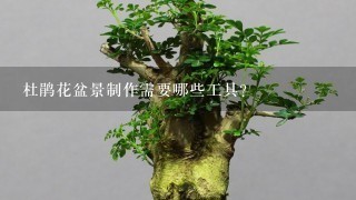 杜鹃花盆景制作需要哪些工具？