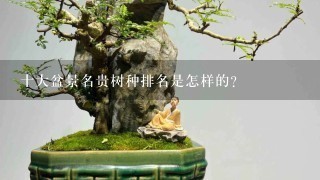 十大盆景名贵树种排名是怎样的？