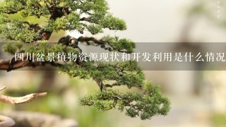 4川盆景植物资源现状和开发利用是什么情况呀？