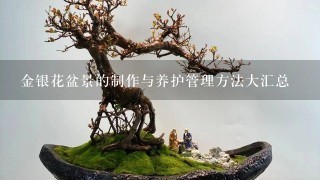 金银花盆景的制作与养护管理方法大汇总