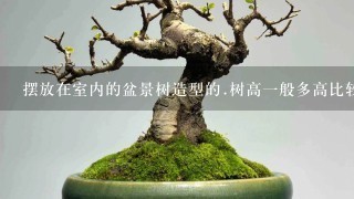 摆放在室内的盆景树造型的.树高1般多高比较适合比较有观欣价值好看?还有多高的盆景树比较值得收藏?