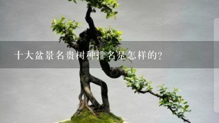 十大盆景名贵树种排名是怎样的？