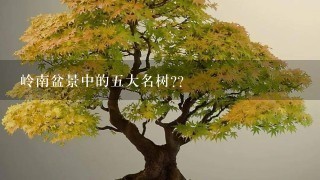 岭南盆景中的5大名树??