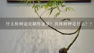 什么松树适宜制作盆景？具体树种是什么？？注意些什么？且体点有加分！