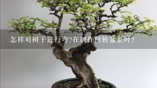 怎样对树干进行弯?在制作树桩盆景时？