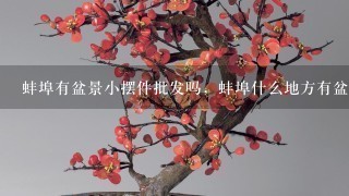 蚌埠有盆景小摆件批发吗，蚌埠什么地方有盆景小摆件