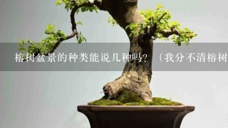 榕树盆景的种类能说几种吗？（我分不清榕树的种类，怎么直观地分辨呢？）