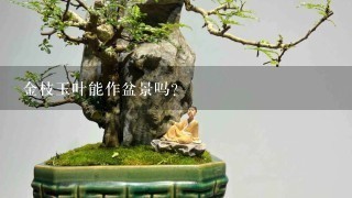 金枝玉叶能作盆景吗？