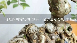 我是4川宜宾的 想开1家盆景专卖店 求最近的批发地址 谢谢宜宾的兄弟姐妹们给个答案 谢谢 注意是批发地址