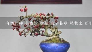 介绍几种 名贵的 盆景 或者花草 植物来 给好评