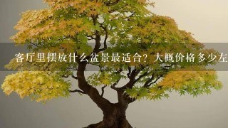 客厅里摆放什么盆景最适合？大概价格多少左右？