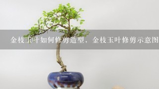 金枝玉叶如何修剪造型，金枝玉叶修剪示意图解