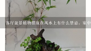 客厅盆景植物摆放在风水上有什么禁忌，家中摆放植物有哪些禁忌，需要注意什么事项？