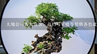 大地公司为大宾馆、高档写字楼等提供各色盆景、景观植物，品种多达上千种。为了更牢固地占稳市场，公司总经理要求公司外派业务员...