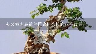 办公室内最适合摆放什么样的花卉盆景？