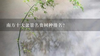 南方十大盆景名贵树种排名？