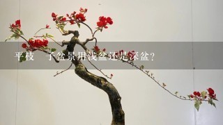 平枝栒子盆景用浅盆还是深盆？