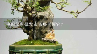 中国盆景批发市场哪里便宜？