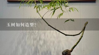 玉树如何造型？