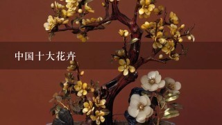 中国十大花卉