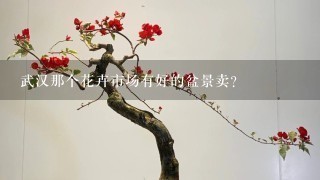 武汉那个花卉市场有好的盆景卖？