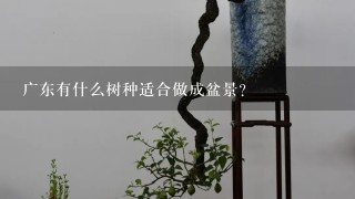 广东有什么树种适合做成盆景？