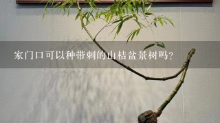 家门口可以种带刺的山桔盆景树吗？