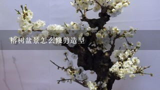 榕树盆景怎么修剪造型