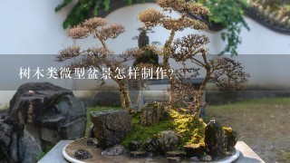 树木类微型盆景怎样制作？